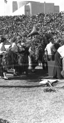 1950 A Full Cotton Bowl To Watch Our Mustangs