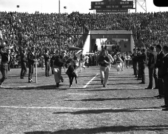 1954 Notre Dame Meets The Ponies At The Cotton Bowl