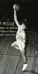 Tom Miller