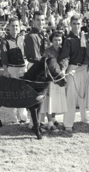 1954 Cheerleaders and Peruna At Cotton Bowl