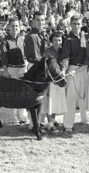 1954 Cheerleaders and Peruna At Cotton Bowl