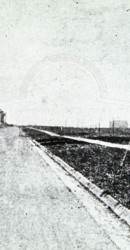 Looking Toward Dallas Hall From University Blvd.