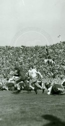 1936 Rose Bowl Game