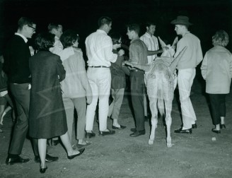 1965 Pep Rally Before the Texas Game