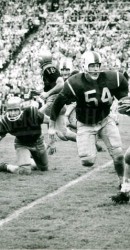 1959 Jerry Mays (75) and Max Christian Close In On Navy Runner