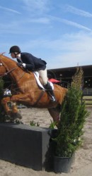 Erica Buie Equestrian