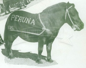 1934 Peruna